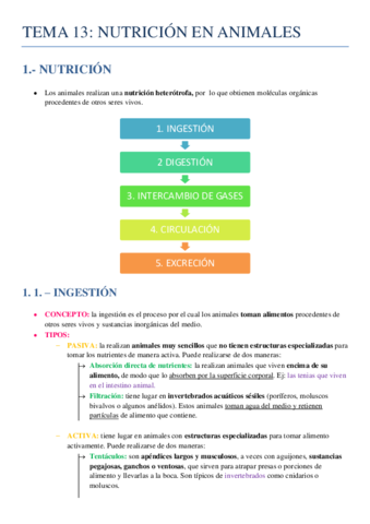 Tema-13.pdf