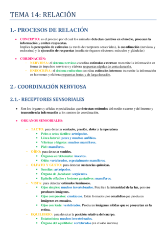 Tema-14.pdf