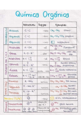 Quimica-Organica.pdf