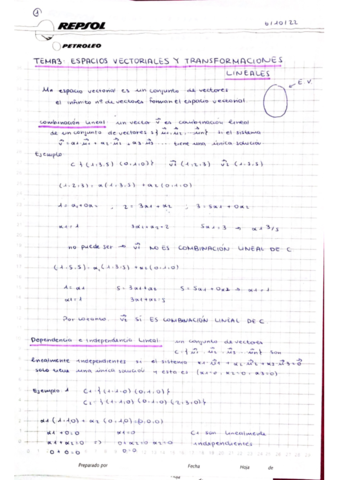 ESPACIO-VECTORIAL-Y-APLICACION-LINEAL.pdf