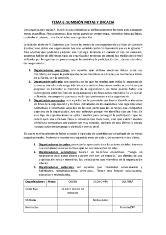 TEMA-6.pdf