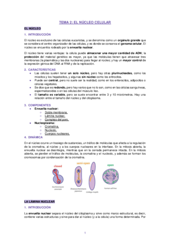 Apuntes-Tema-2-Biologia-Celular.pdf