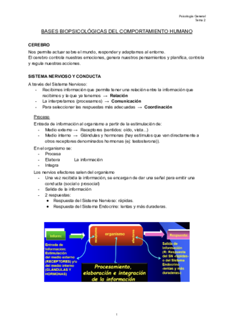 TEMA-2 Psicología general.pdf
