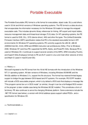 Portable-Executable.pdf