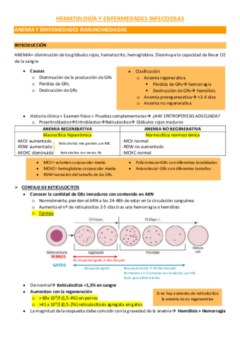 HEMATOLOGIA-Y-ENFERMEDADES-INFECCIOSAS.pdf