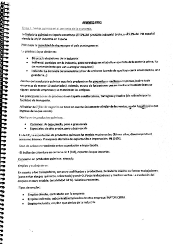 Apuntes-de-clase-PPIQ.pdf