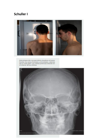 resumen-rx.pdf