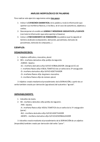 MORFOLOGIA.pdf