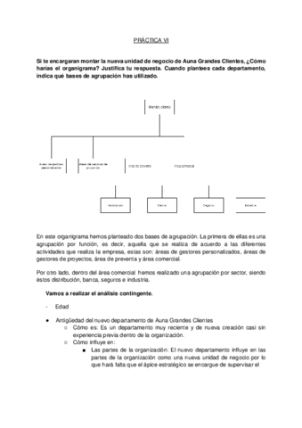 PRACTICA-VI-DISENO-ORGANIZATIVO.pdf