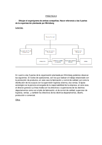 PRACTICA-II-DISENO-ORGANIZATIVO.pdf