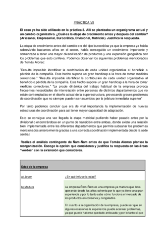 PRACTICA-VII-DISENO-ORGANIZATIVO.pdf
