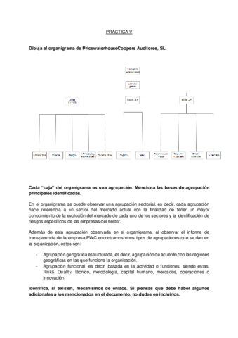 PRACTICA-V-DISENO-ORGANIZATIVO.pdf