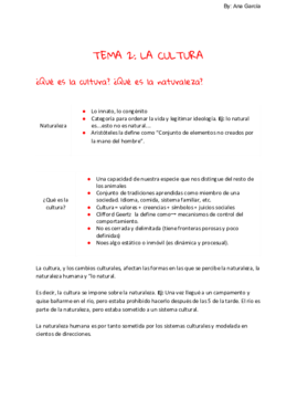 Tema 2- LA CULTURA.pdf