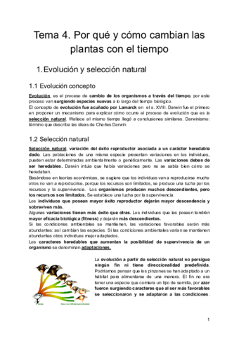 Tema-4.pdf