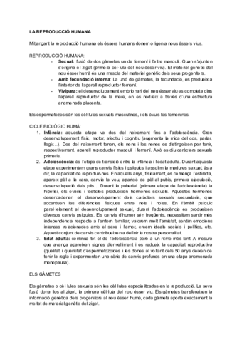 Apunts-reproduccio.pdf