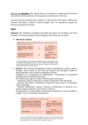 Sistema-digestiu.pdf