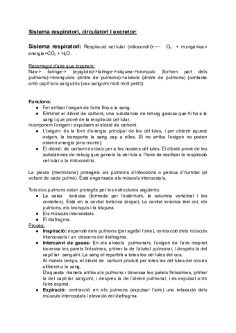 Sis-respitatori-circulatori-excretor.pdf