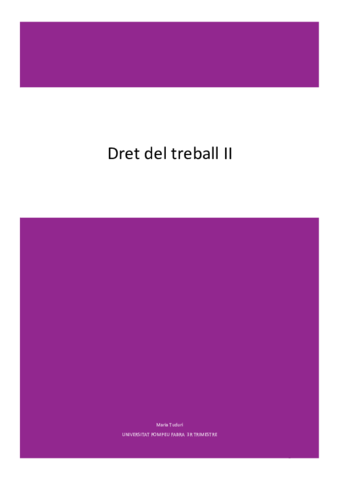 DRET-DEL-TREBALL-II.pdf