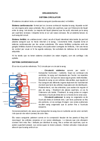 Organografia-1compressed.pdf