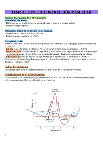 Tema-3-Tipos-de-contraccion-muscular.pdf