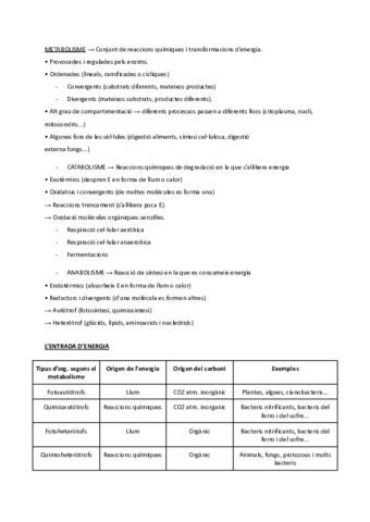 Metabolisme.pdf