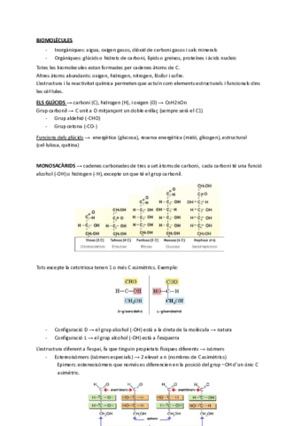 Bioquimica.pdf