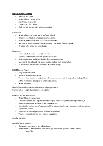 Virusibacteris.pdf