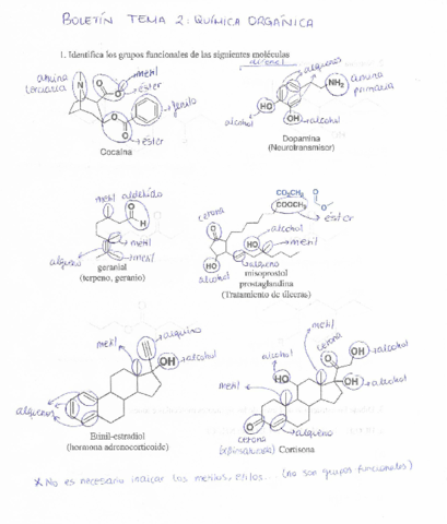 Boletin-Tema-2-Quimica-organica.pdf