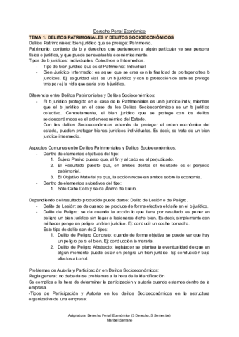 TEMA-1-D-Penal-Economico.pdf