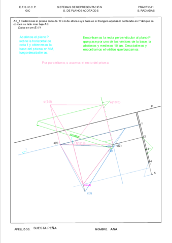 suestapenaanaA11.pdf