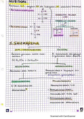 2. gaia - Gluzidoak 