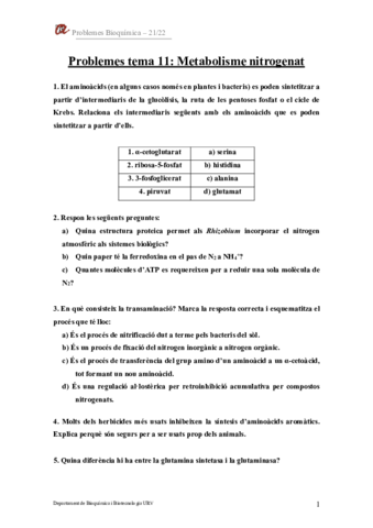 Problemes-T11.pdf