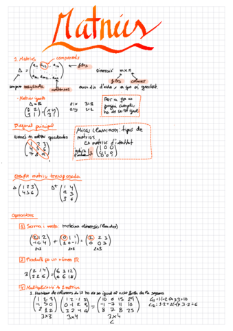 1-i-2-apunts-matriu-i-determinants.pdf