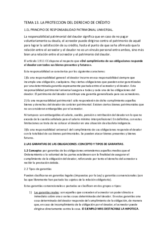 TEMA-13.pdf