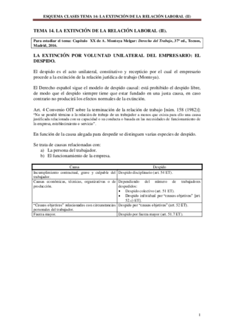Tema14DTI.pdf