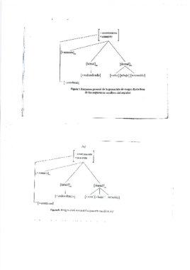 Geometria de rasgos.pdf