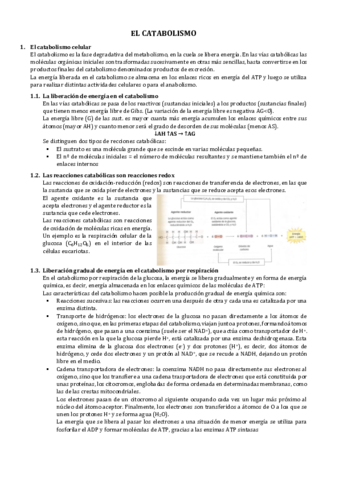 catabolismo.pdf