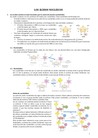 los-acidos-nucleicos.pdf