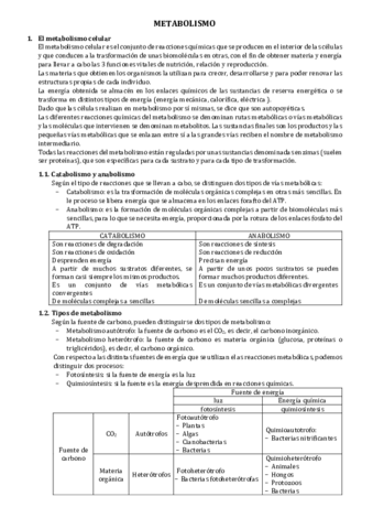 metabolismo.pdf
