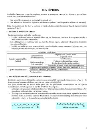 los-lipidos.pdf