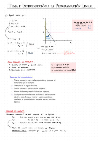 Tema-1-Introduccion-a-la-Programacion-Lineal.pdf