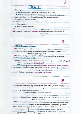 Tarjetas tema 1 numeradas arriba.pdf