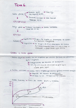 Tema 6.pdf