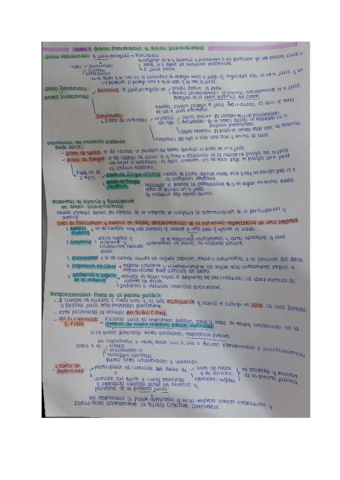 ESQUEMA-TEMA-1-PENAL-ECONOMICO-.pdf