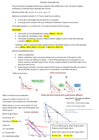 OPTIMAL-CONSUMPTION.pdf