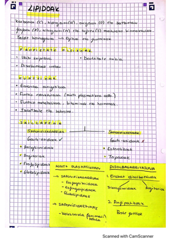 3.pdf