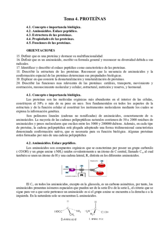 TEMA-4.pdf