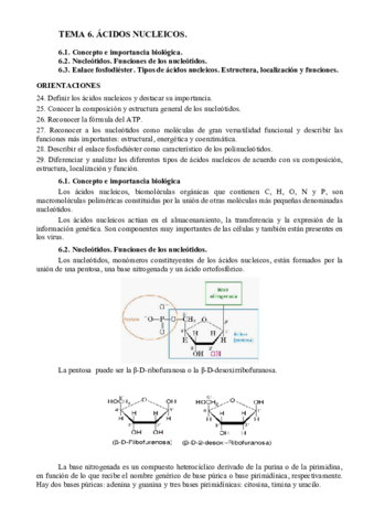 TEMA-6.pdf