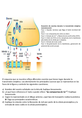 Transporte-Membrana-03-2020.pdf