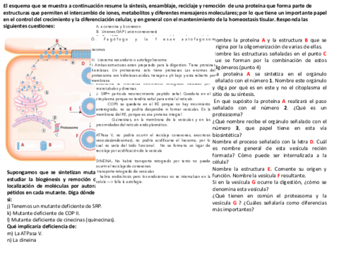 ME-RE-CG-Lisosomas-Endo.pdf